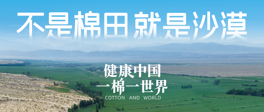 链接世界，引领健全生涯，瓦力游戏集团受邀亮相首届链博会